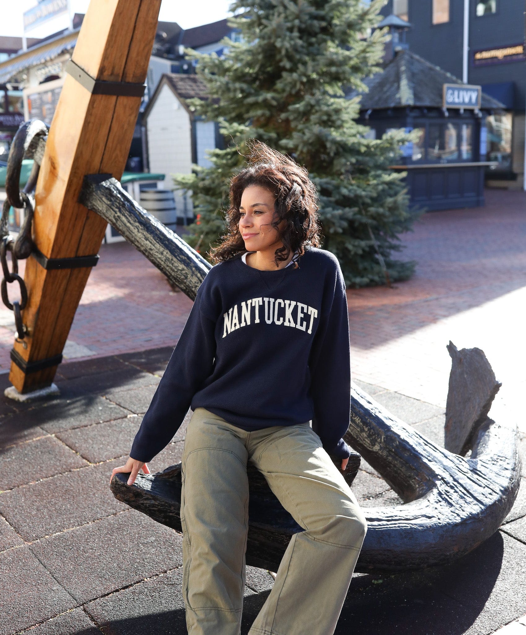 Whalerknits Sweaters Nantucket Hometown - Knit Sweatshirt Pullover
